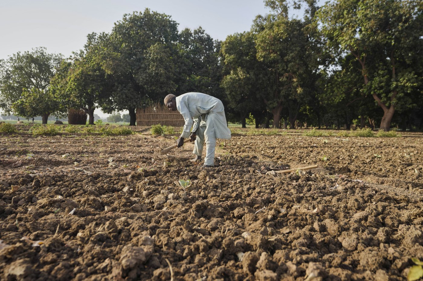 Nigeria has a food security problem as water for crops is harder to find | iNFOnews.ca Nigeria has a food security problem as water for crops is harder to find | iNFOnews.ca