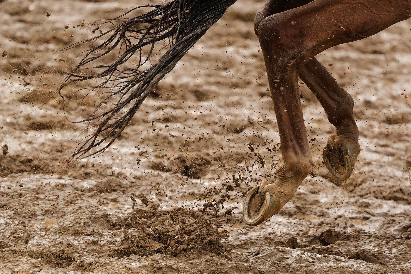The top photos of the week by AP photojournalists | iNFOnews.ca