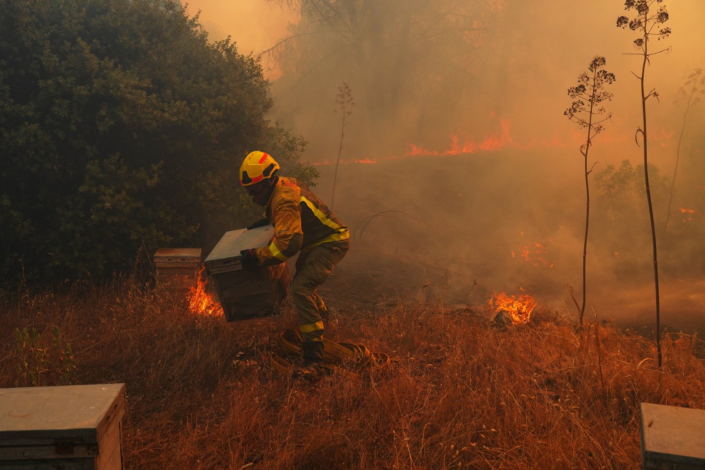UN, scientists warn that strong El Nino will add fuel to 'a planet already on fire' | iNFOnews.ca