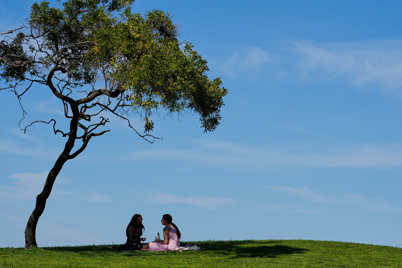 Photos show Bay Area sizzling as unseasonable warmth grips the U.S. West | iNFOnews.ca