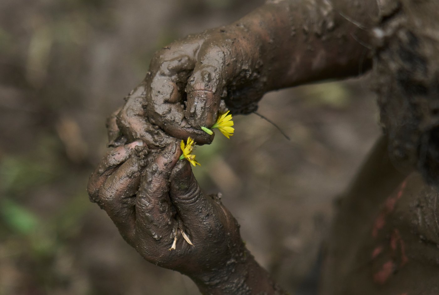 Photo show Paddy Day, the festival marking the start of the rice planting season in Nepal | iNFOnews.ca