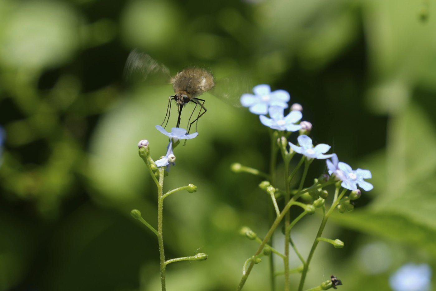 PHOTO COLLECTION: Spring Weather | iNFOnews.ca