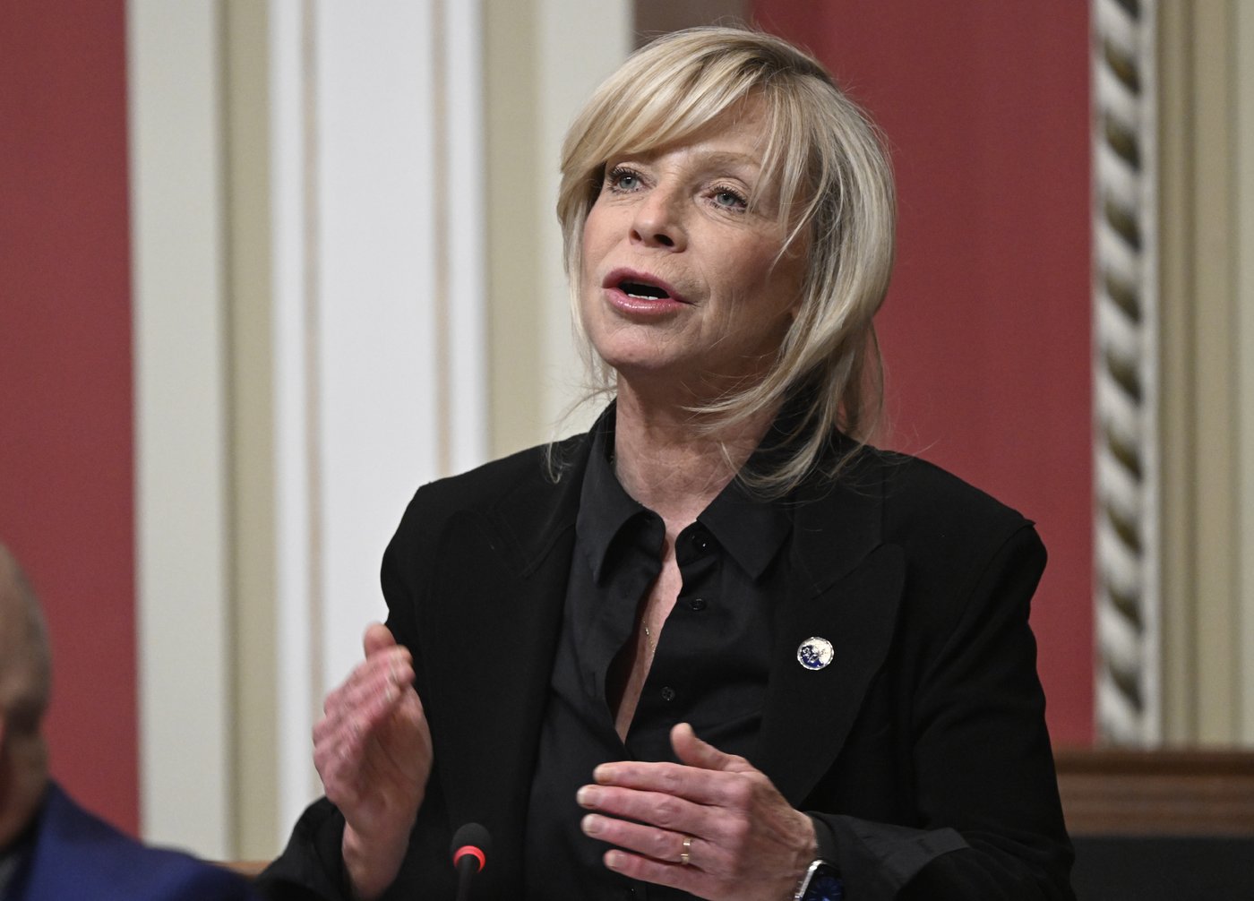 Two Quebec legislature members not running again ahead of 'unprecedented' election | iNFOnews.ca