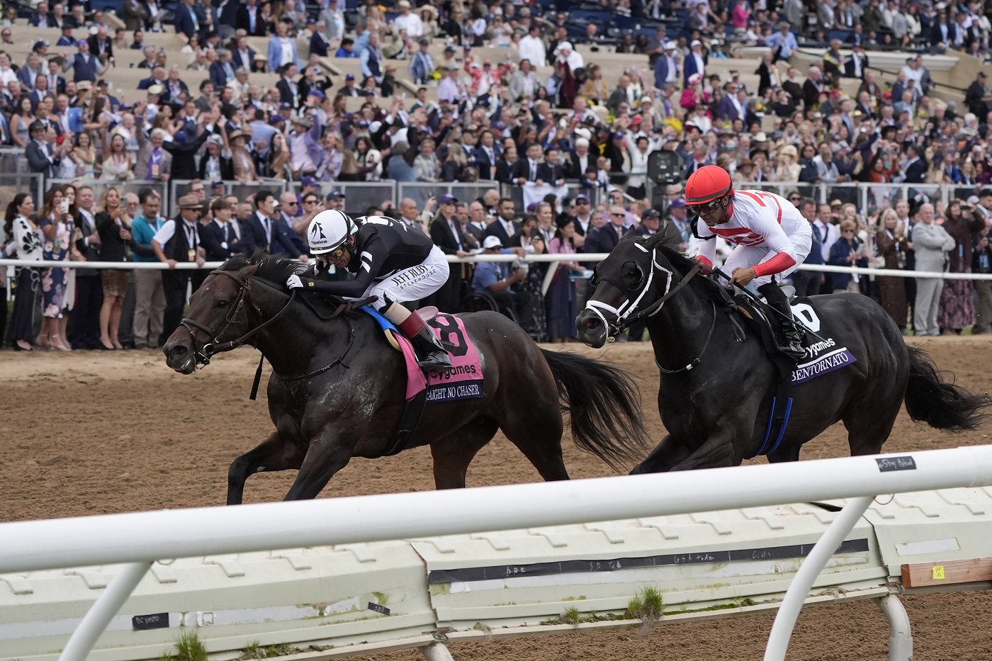 Sierra Leone wins $7 million Breeders' Cup Classic after suffering close loss in Kentucky Derby | iNFOnews.ca Sierra Leone wins $7 million Breeders' Cup Classic after suffering close loss in Kentucky Derby | iNFOnews.ca