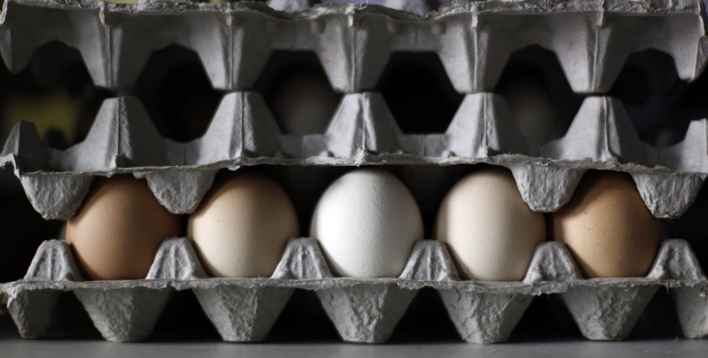 Eggs in B.C., Ont., Man., recalled over salmonella concerns | iNFOnews.ca