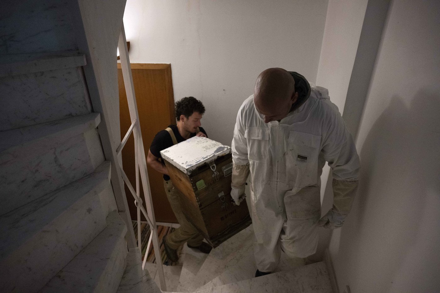 From rooftops to honey jars, Athens is abuzz with urban beekeeping | iNFOnews.ca From rooftops to honey jars, Athens is abuzz with urban beekeeping | iNFOnews.ca