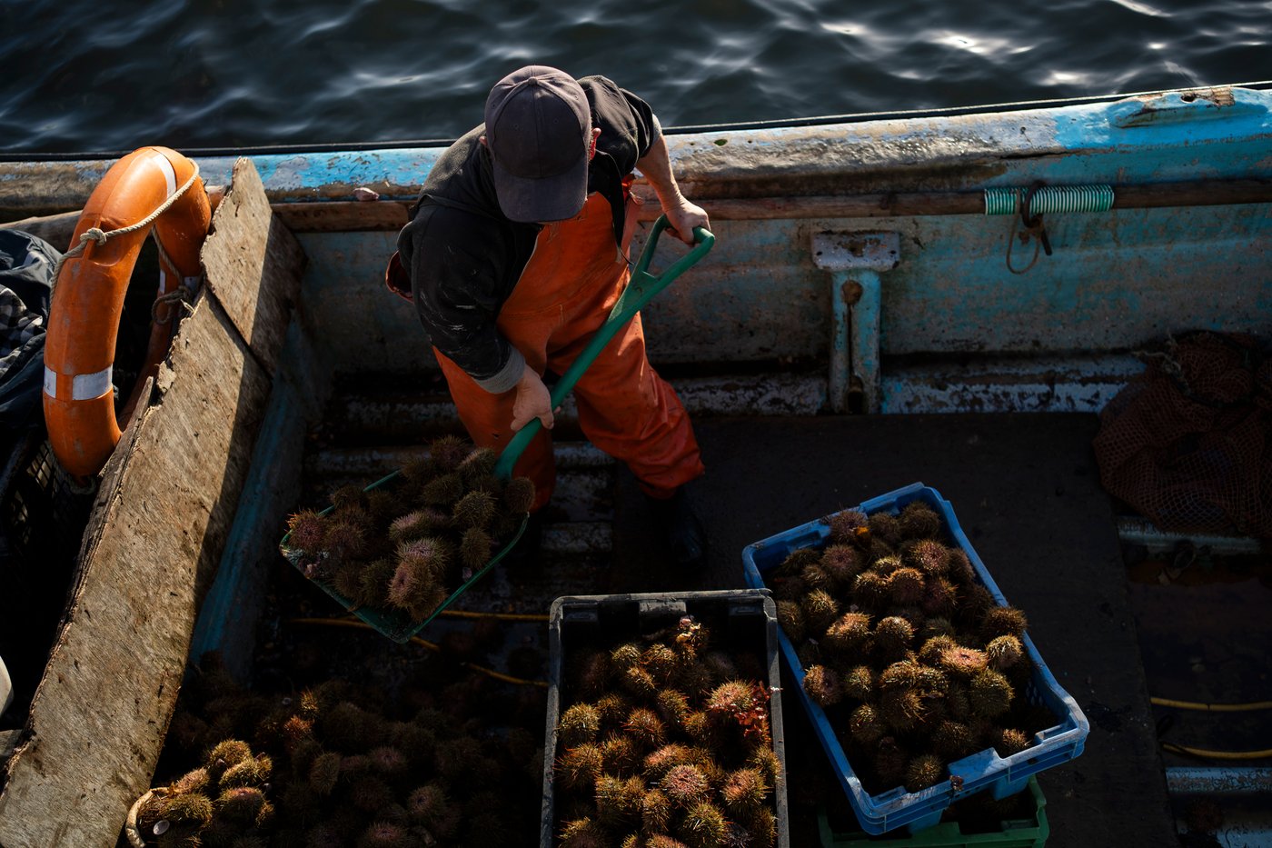 In southern Chile, locals push to protect oceans that have been hurt by intensive salmon farming | iNFOnews.ca In southern Chile, locals push to protect oceans that have been hurt by intensive salmon farming | iNFOnews.ca