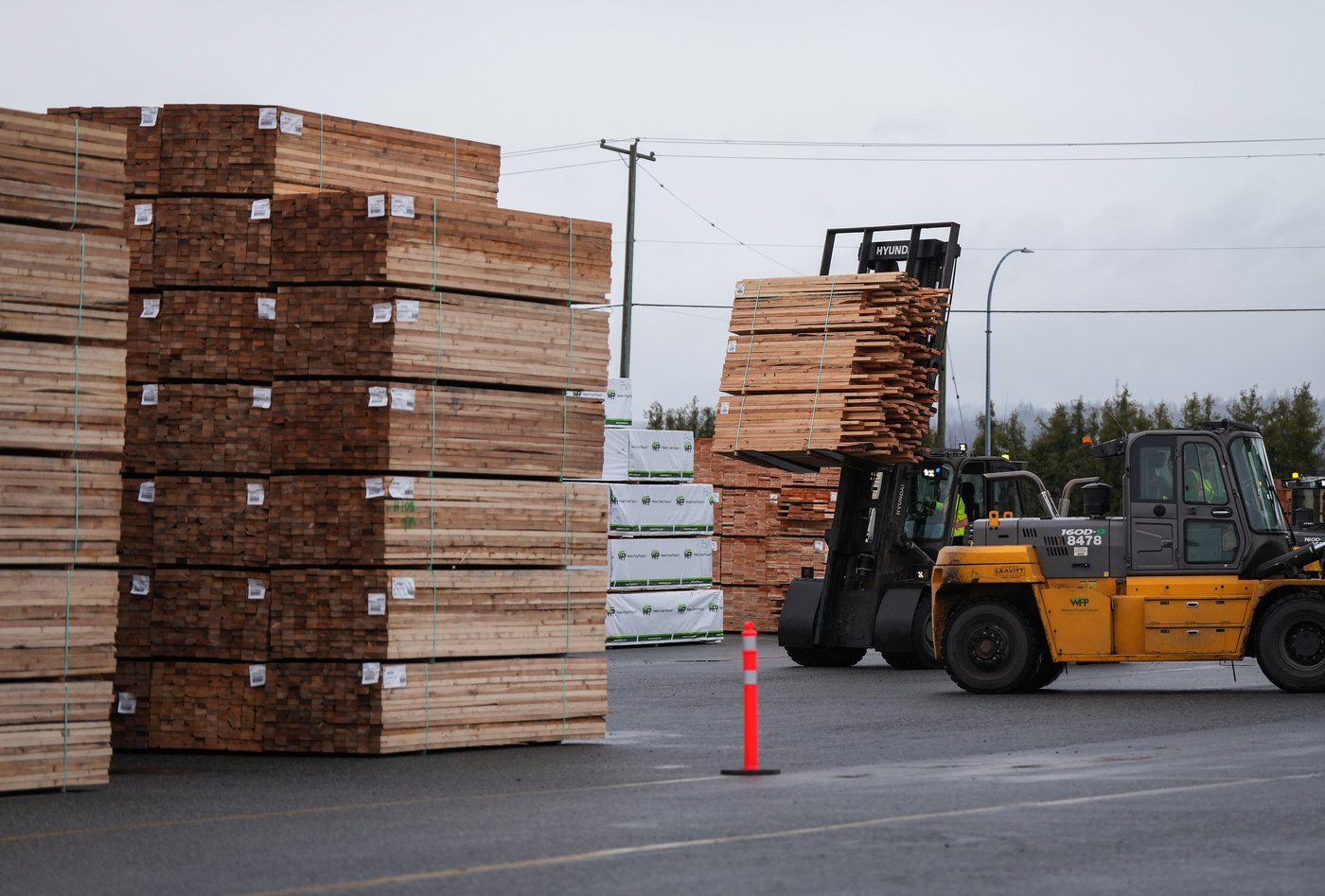 Police clear protesters from Vancouver Island logging blockade | iNFOnews.ca Police clear protesters from Vancouver Island logging blockade | iNFOnews.ca