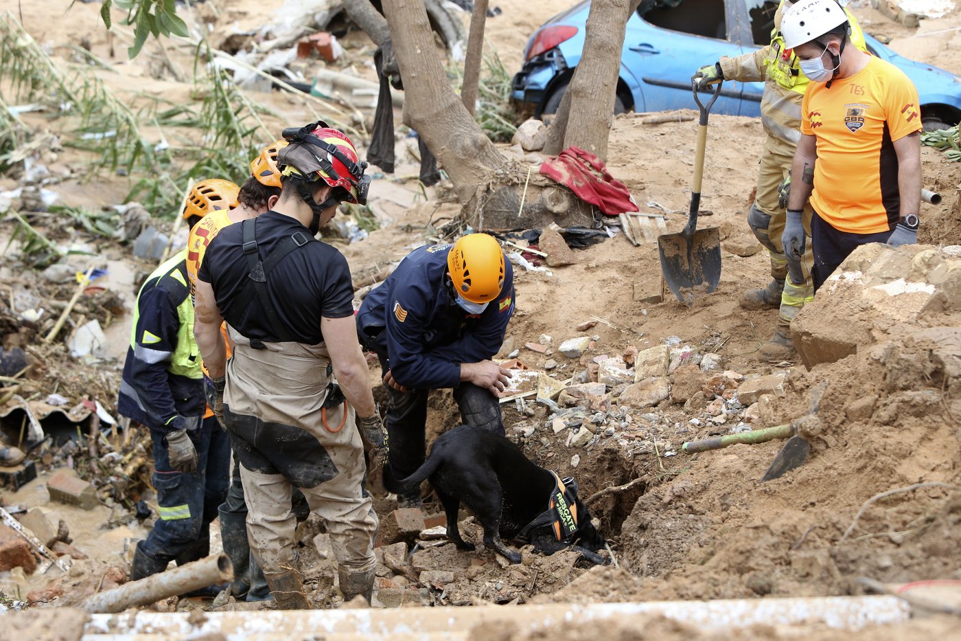 A crowd of Spain's flood survivors toss mud and shouts insults at King Felipe VI | iNFOnews.ca