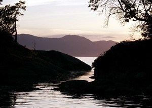 CP28160747