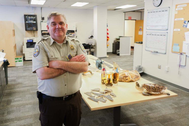 ‘Hey, this box stinks’: the weird work of intercepting trafficked wildlife in Alaska | iNFOnews.ca