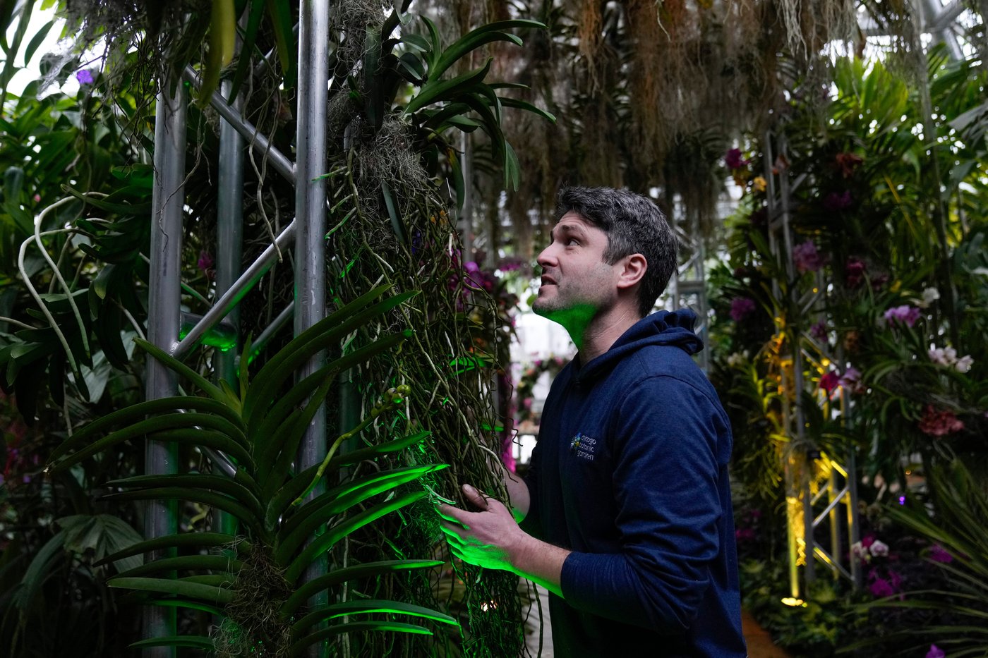 Photos of retro '70s-themed orchids show in Chicago | iNFOnews.ca