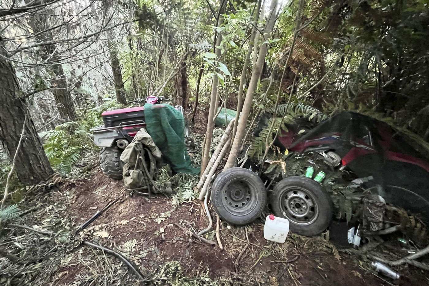 New Zealand police investigate how a man hid his 3 children in a forest for years without discovery | iNFOnews.ca New Zealand police investigate how a man hid his 3 children in a forest for years without discovery | iNFOnews.ca
