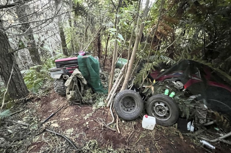 New Zealand police investigate how a man hid his 3 children in a forest for years without discovery | iNFOnews.ca
