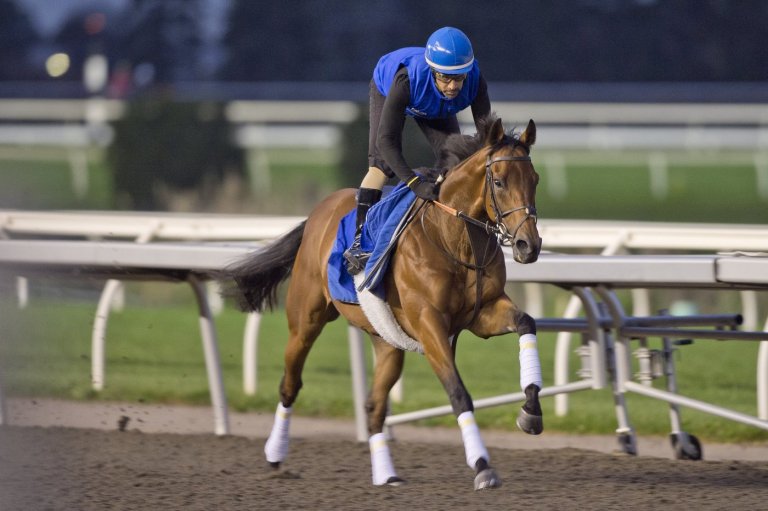 Godolphin, trainer Charlie Appleby both chasing more success at Woodbine Racetrack | iNFOnews.ca