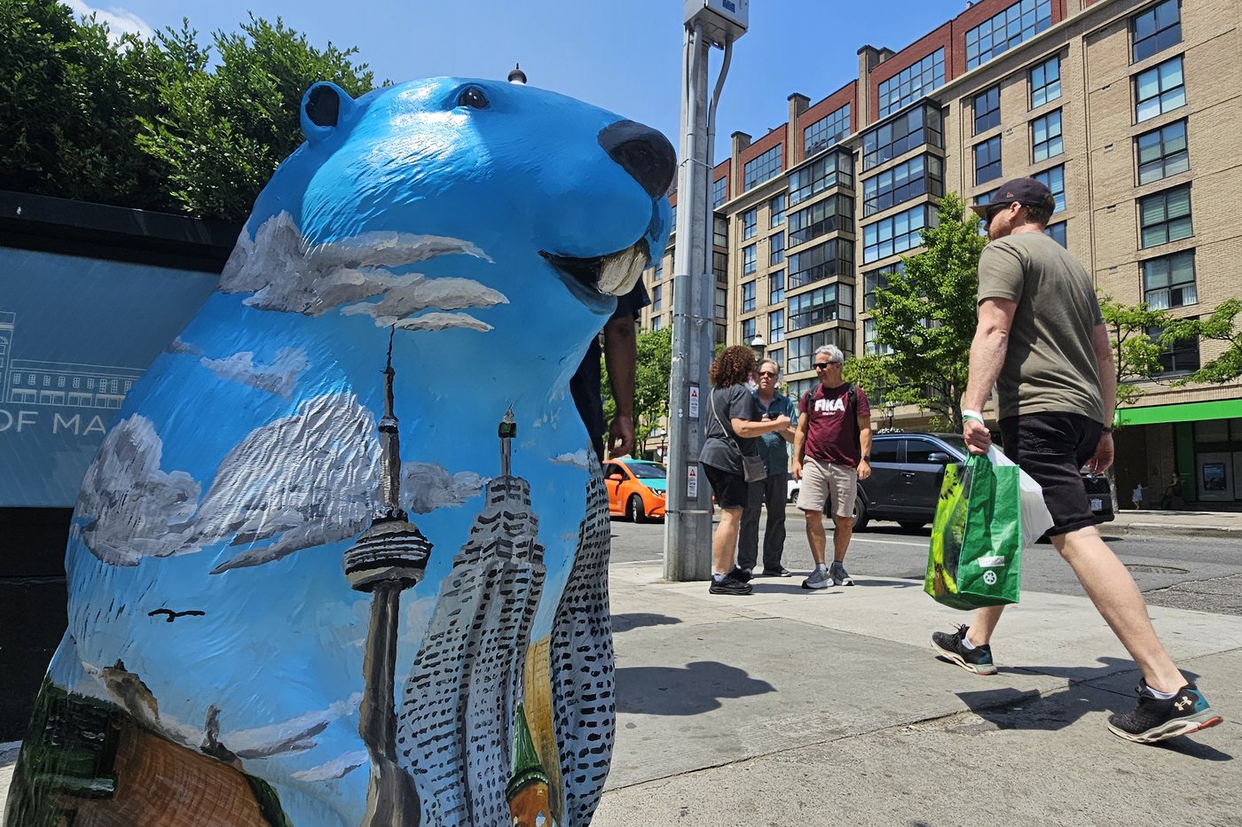 Beaver sculptures welcome tourists in downtown Toronto ahead of World Cup | iNFOnews.ca