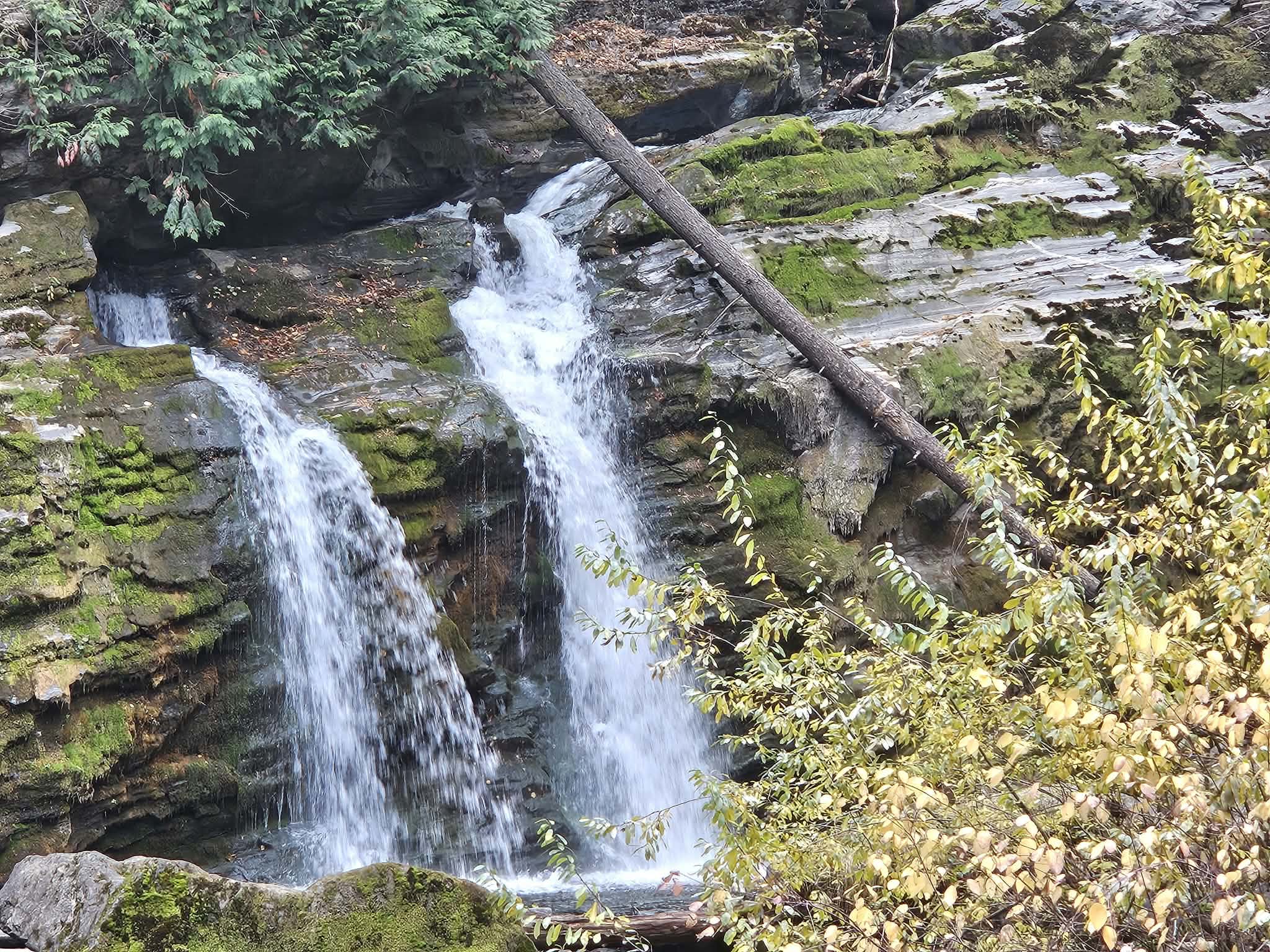 A short waterfall in two streams flows over rock.