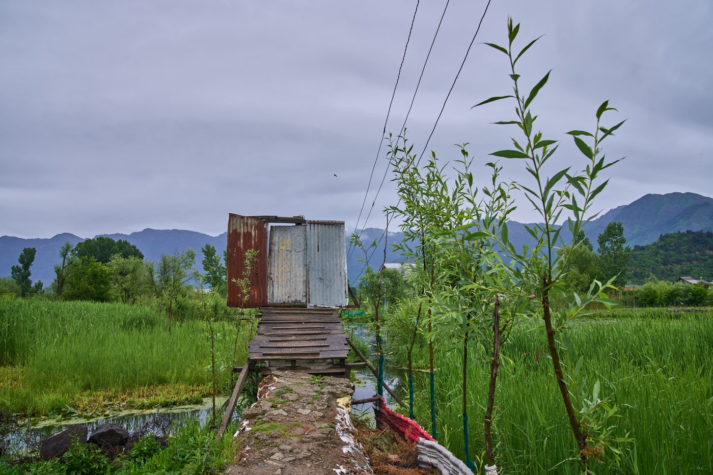 Warming climate, pollution and unplanned growth push Kashmir’s lakes toward disappearance | iNFOnews.ca
