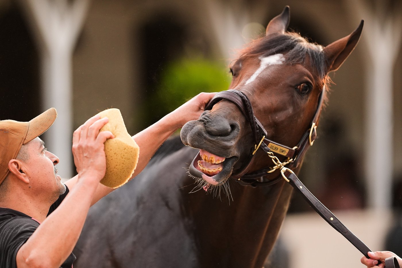 Preakness could soon move later, to 3 weeks after the Kentucky Derby. That might not be enough | iNFOnews.ca Preakness could soon move later, to 3 weeks after the Kentucky Derby. That might not be enough | iNFOnews.ca