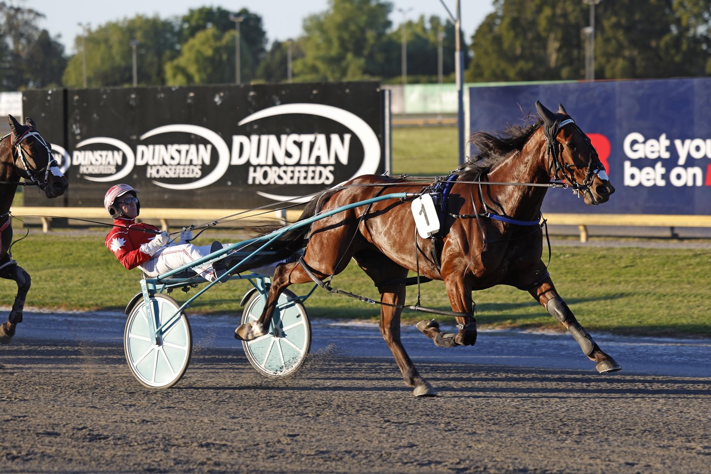 Canada's James MacDonald captures second world driving championship | iNFOnews.ca