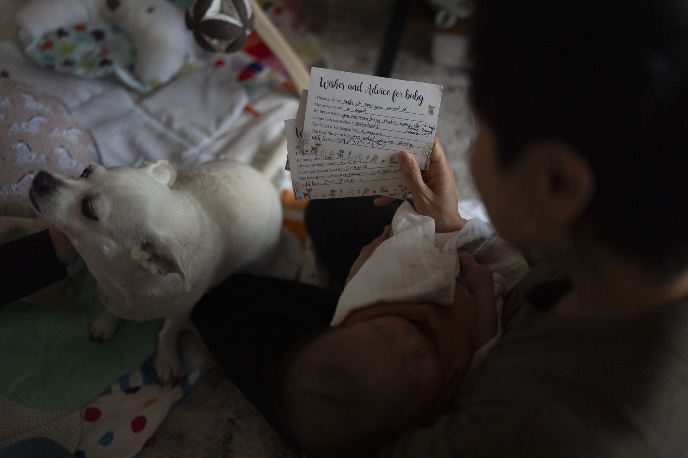Widespread adoption fraud separated generations of Korean children from their families, AP finds | iNFOnews.ca
