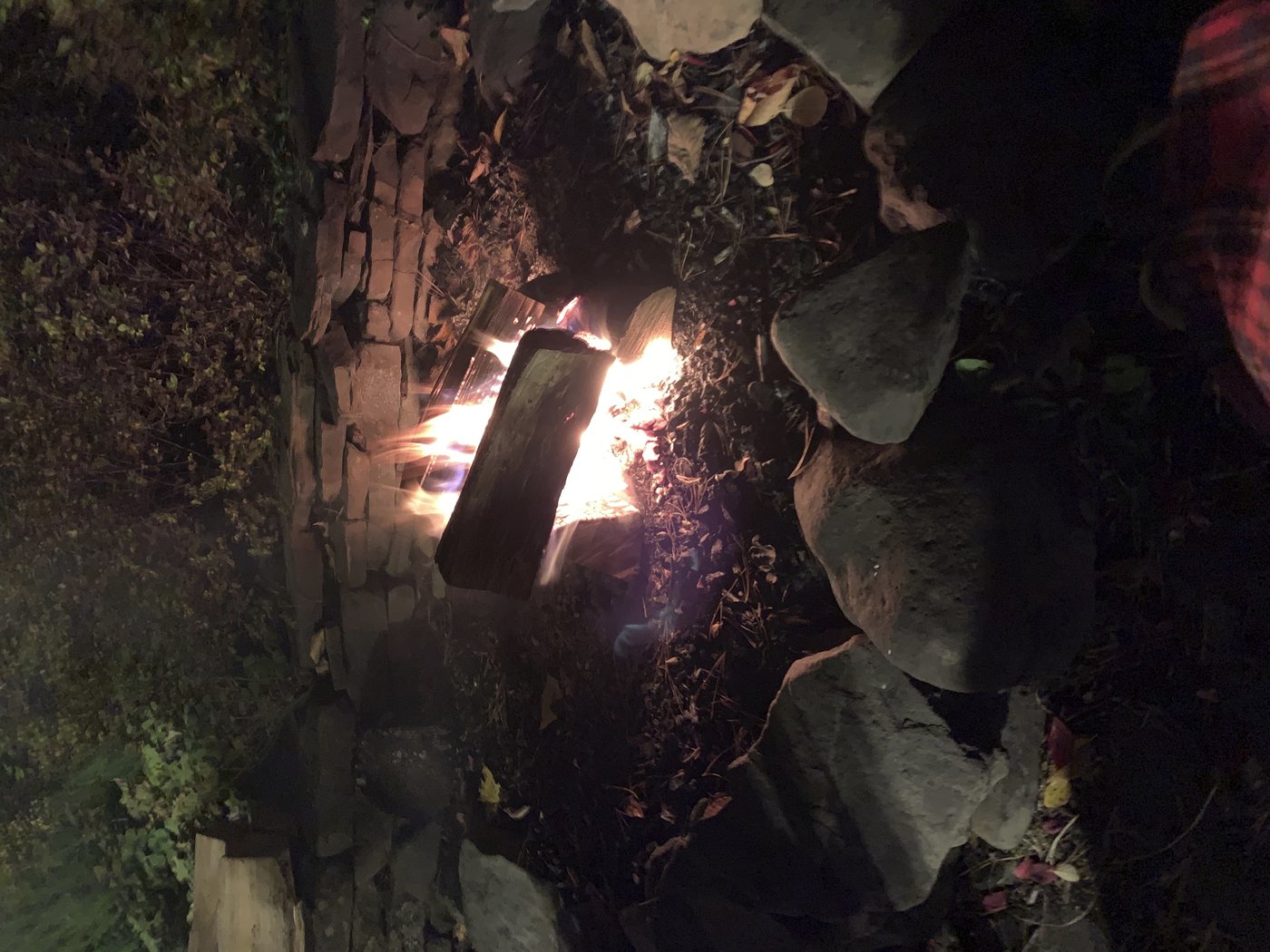 Find out where your firewood comes from to prevent the spread of invasive pests | iNFOnews.ca Find out where your firewood comes from to prevent the spread of invasive pests | iNFOnews.ca
