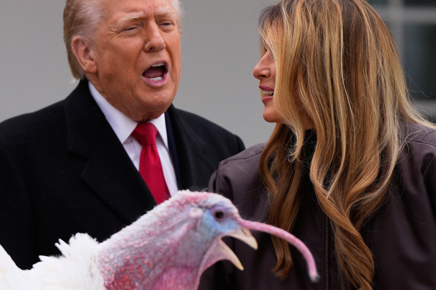 Trump spares turkeys - but not his political opponents - at annual pardoning ceremony | iNFOnews.ca