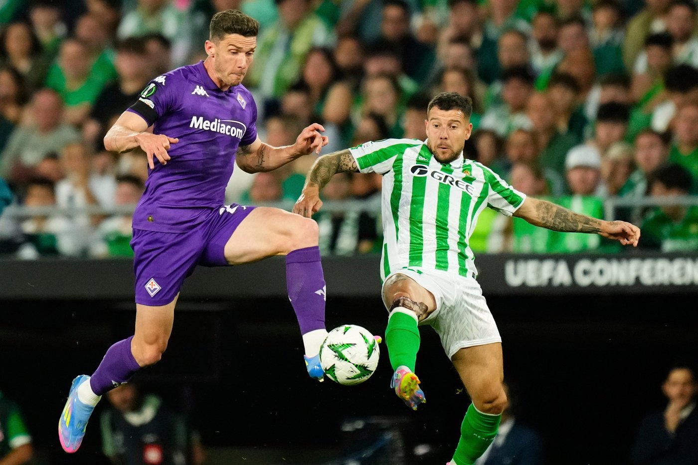 Schalke signs former Germany winger Robin Gosens on loan from Fiorentina | iNFOnews.ca Schalke signs former Germany winger Robin Gosens on loan from Fiorentina | iNFOnews.ca