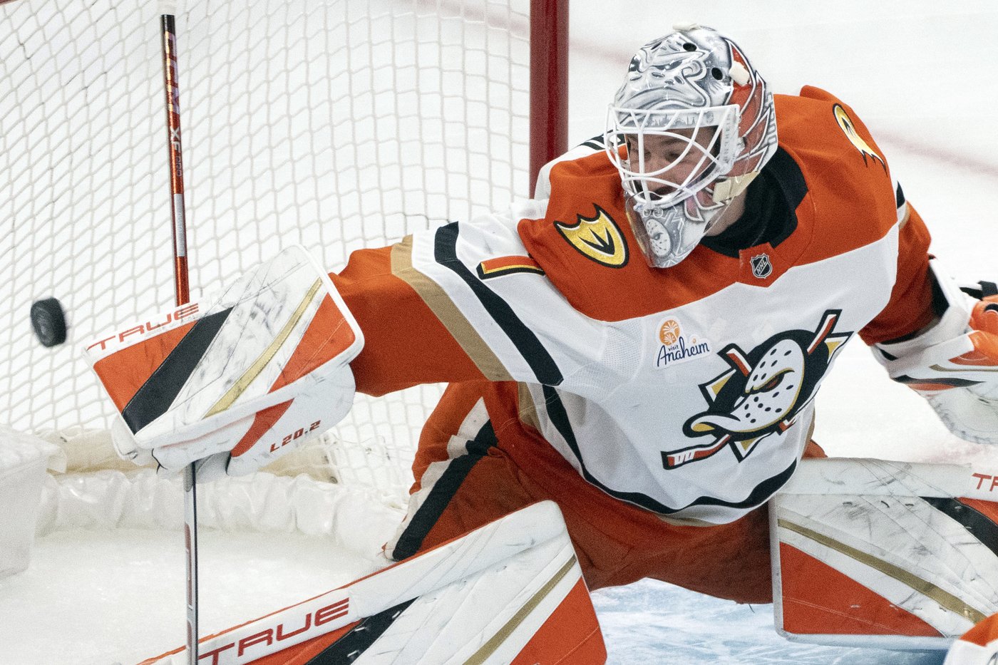 Lukas Dostal's 43 saves and shootout goals from Zegras and Carlsson send Ducks past rival Kings 2-1 | iNFOnews.ca Lukas Dostal's 43 saves and shootout goals from Zegras and Carlsson send Ducks past rival Kings 2-1 | iNFOnews.ca