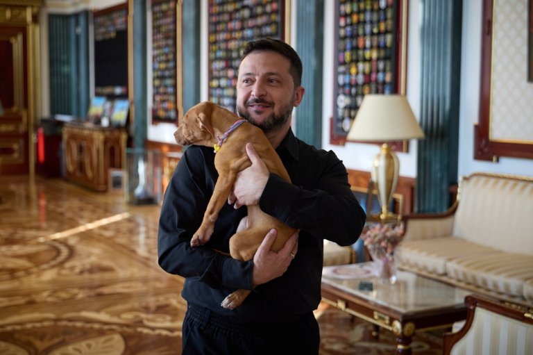 Ukraine's president coos over a puppy, starting a new volley in his war of visuals against Russia | iNFOnews.ca