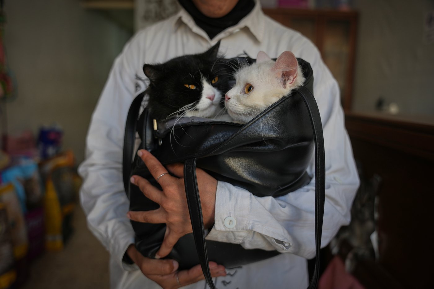 Photos of a rare veterinary clinic still open in war-battered Gaza | iNFOnews.ca Photos of a rare veterinary clinic still open in war-battered Gaza | iNFOnews.ca