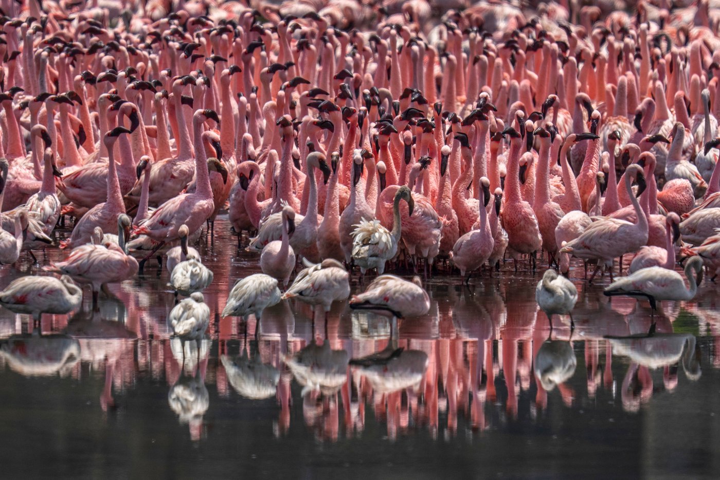 The top photos of the day by AP photojournalists | iNFOnews.ca