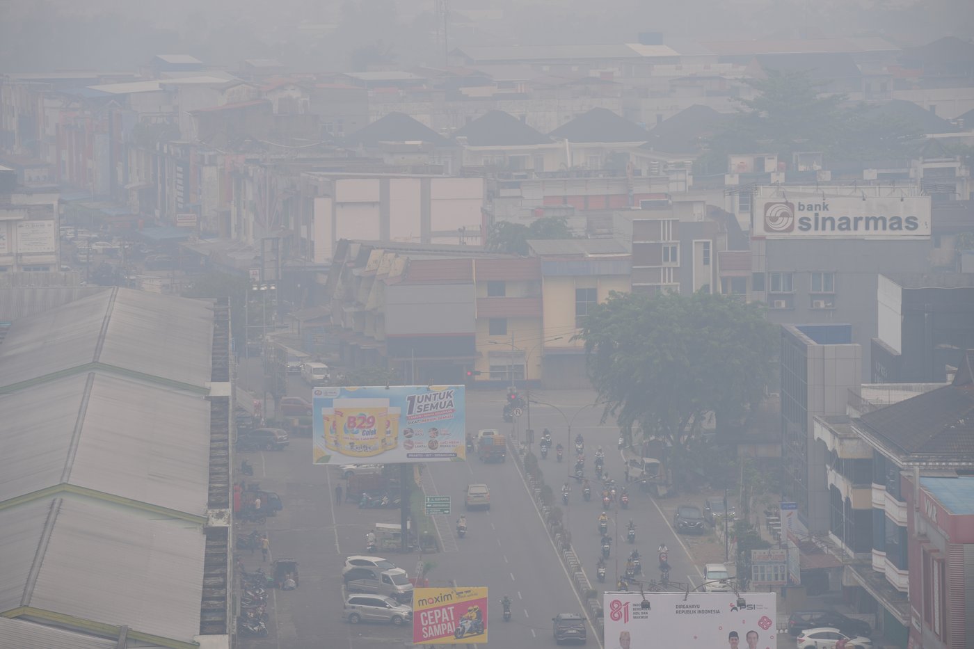 Thick haze disrupts flights on Indonesia's Borneo island | iNFOnews.ca Thick haze disrupts flights on Indonesia's Borneo island | iNFOnews.ca