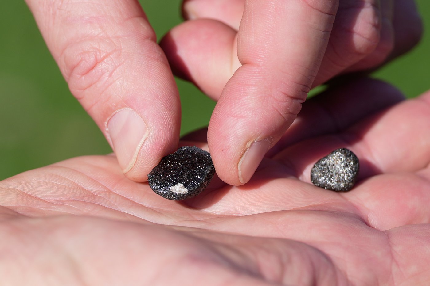 Meteorite hunters scour Ohio for fragments of 7-ton space rock that crashed into Earth | iNFOnews.ca