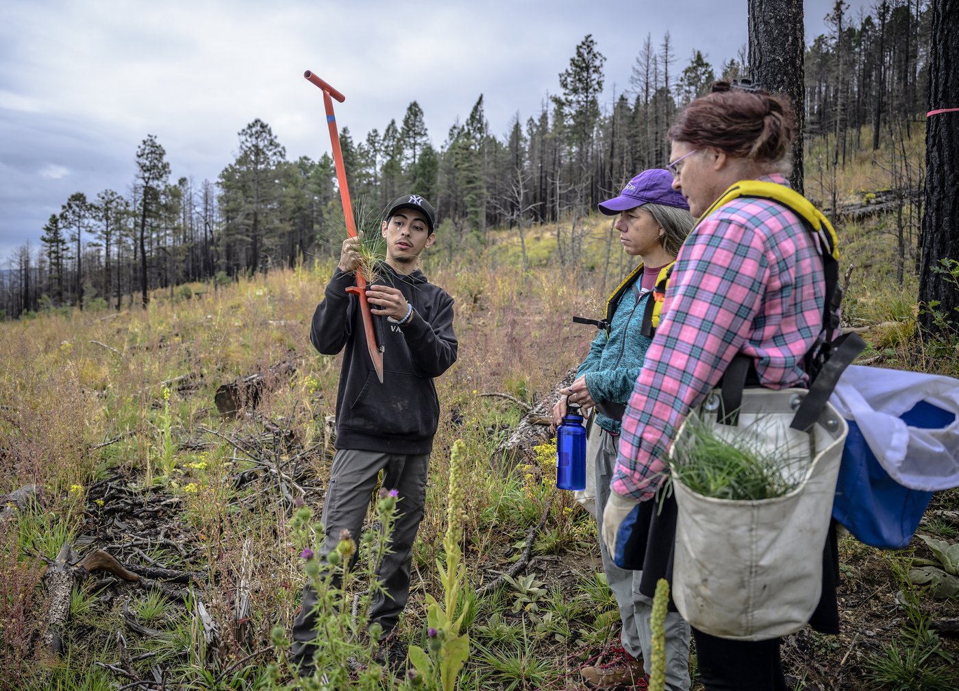 Volunteers help seedlings take root as New Mexico attempts to recover from historic wildfire | iNFOnews.ca Volunteers help seedlings take root as New Mexico attempts to recover from historic wildfire | iNFOnews.ca