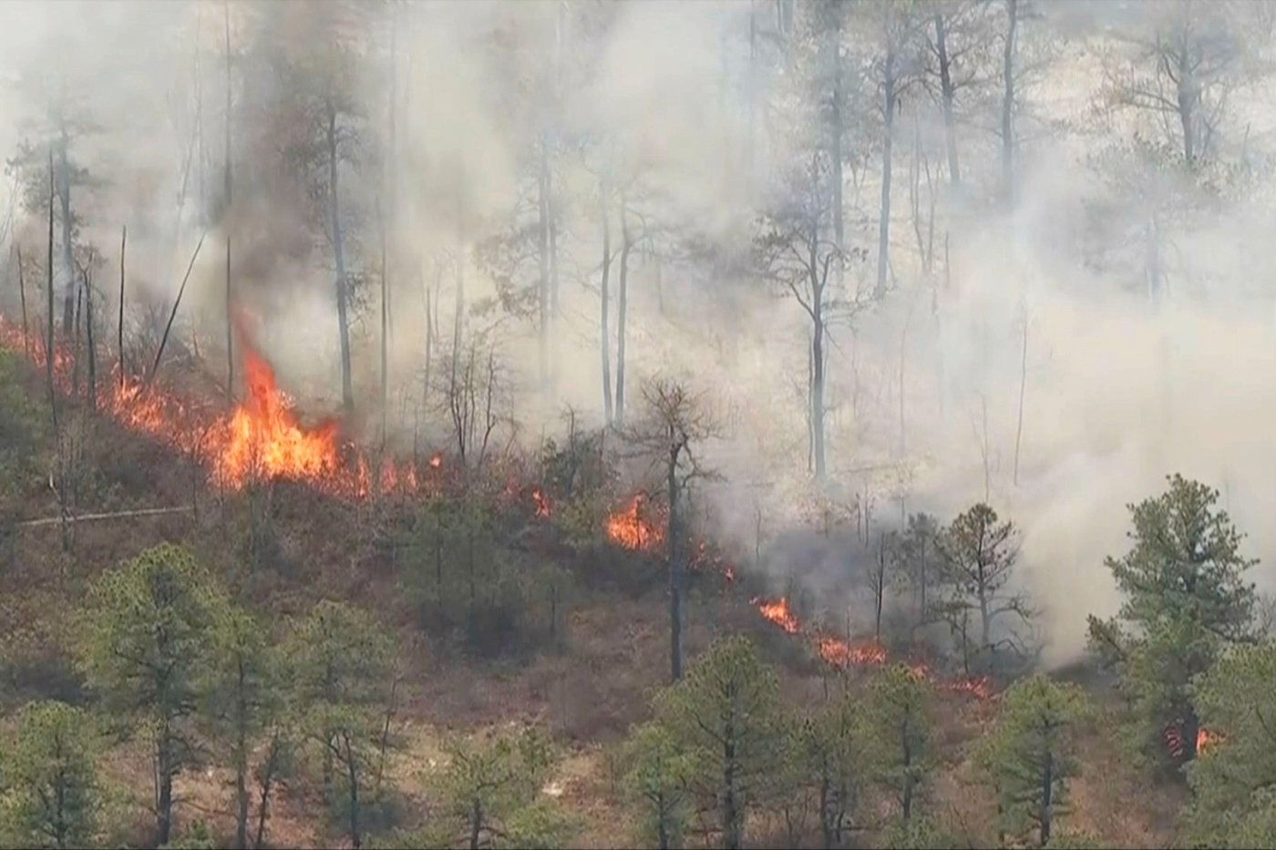 Wildfire in New Jersey Pine Barrens expected to grow before it's contained, officials say | iNFOnews.ca Wildfire in New Jersey Pine Barrens expected to grow before it's contained, officials say | iNFOnews.ca