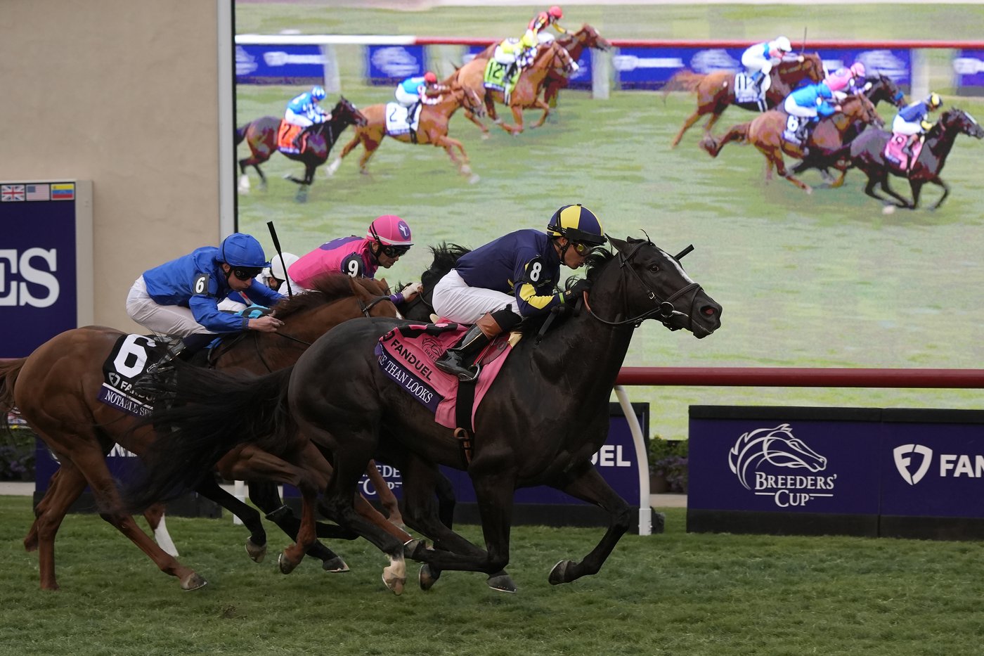 Sierra Leone wins $7 million Breeders' Cup Classic after suffering close loss in Kentucky Derby | iNFOnews.ca Sierra Leone wins $7 million Breeders' Cup Classic after suffering close loss in Kentucky Derby | iNFOnews.ca