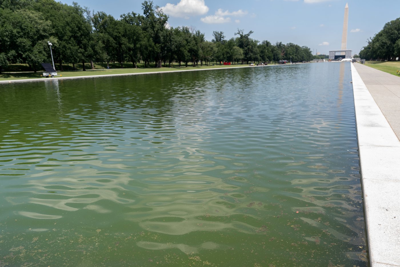 Former Olympian indicted on felony charge over alleged Reflecting Pool vandalism | iNFOnews.ca