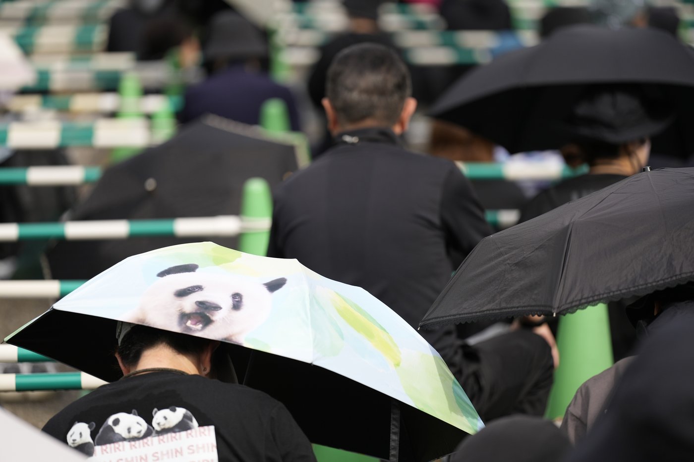Japanese fans bid farewell to beloved panda pair before their return to China | iNFOnews.ca