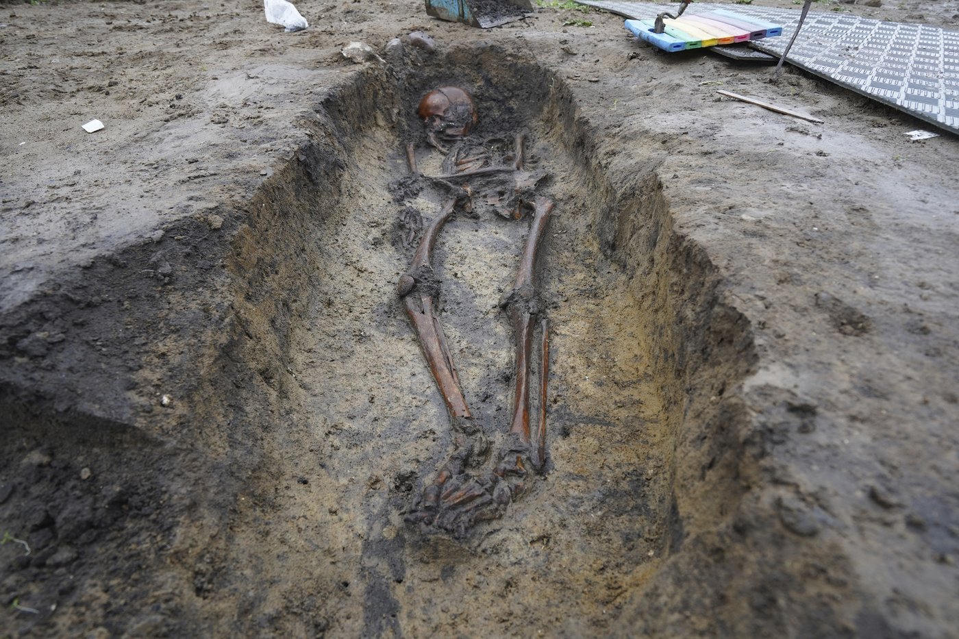 50 well-preserved Viking Age skeletons unearthed in Denmark | iNFOnews.ca