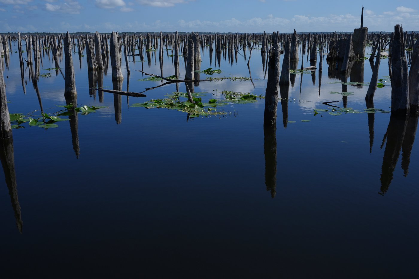 Decades after a Florida canal project was abandoned, advocates are trying to reunite 3 rivers | iNFOnews.ca Decades after a Florida canal project was abandoned, advocates are trying to reunite 3 rivers | iNFOnews.ca