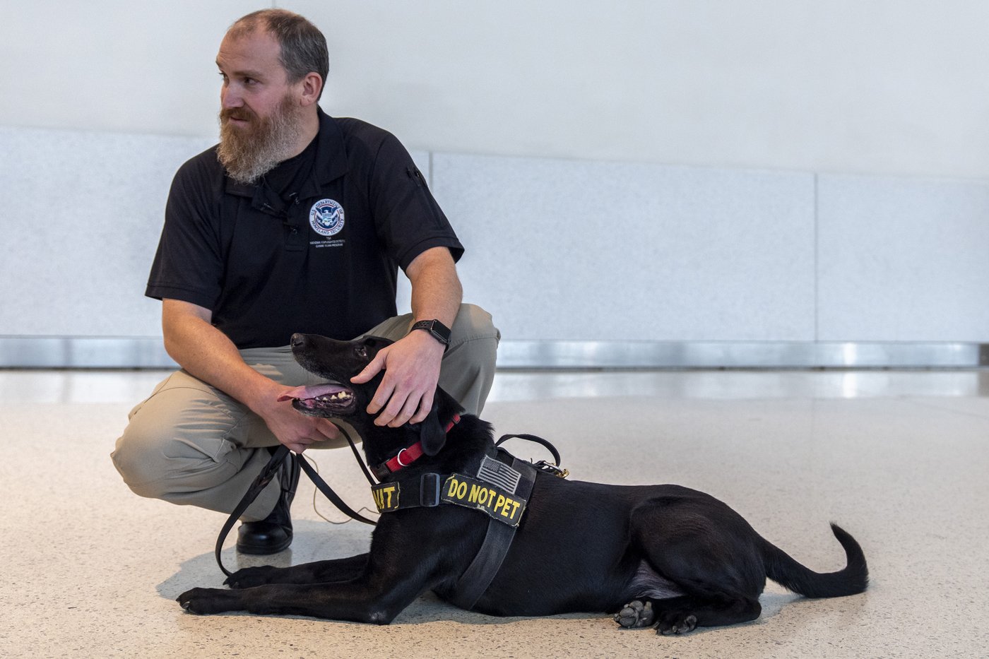 Argo the dog, a TSA calendar star, protects air travelers by sniffing out explosives | iNFOnews.ca