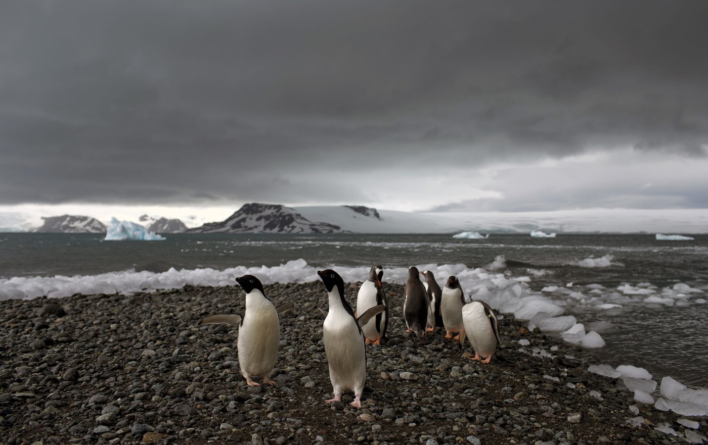 Fear at isolated Antarctica base as a man is accused of attacking a colleague and making threats | iNFOnews.ca Fear at isolated Antarctica base as a man is accused of attacking a colleague and making threats | iNFOnews.ca