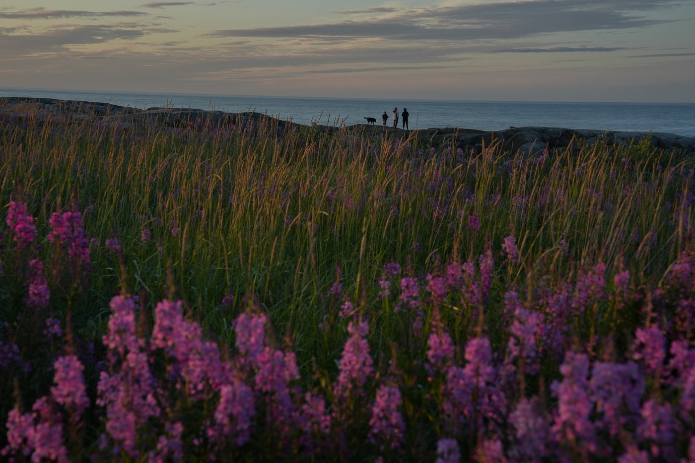 PHOTO COLLECTION: 2024 climate photos of the year | iNFOnews.ca
