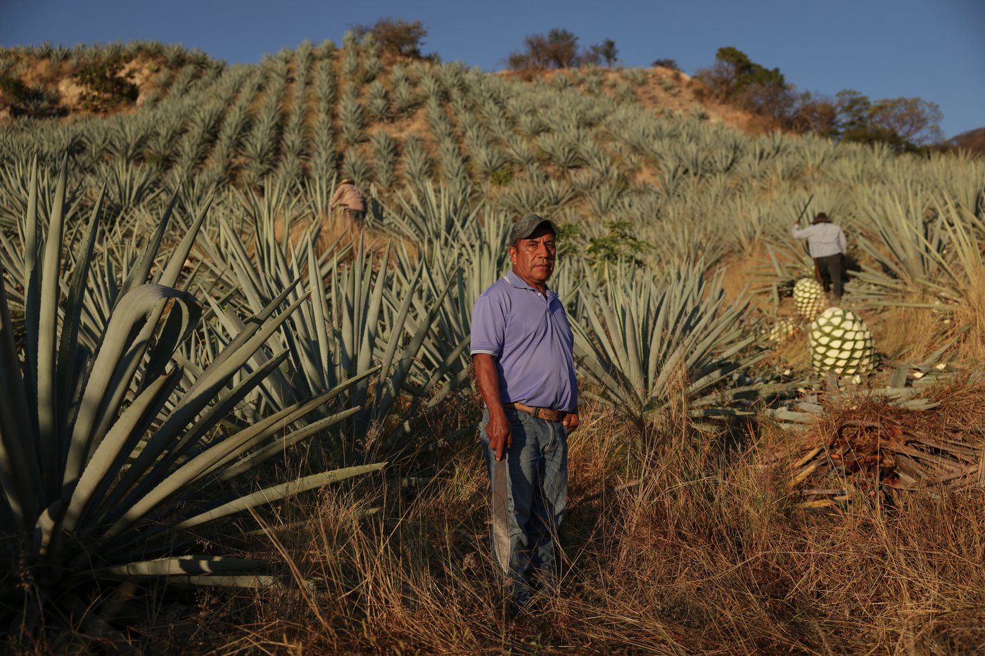 Mezcal producers in Oaxaca pose for photos while reflecting on economic impacts of the drink | iNwine Mezcal producers in Oaxaca pose for photos while reflecting on economic impacts of the drink | iNwine