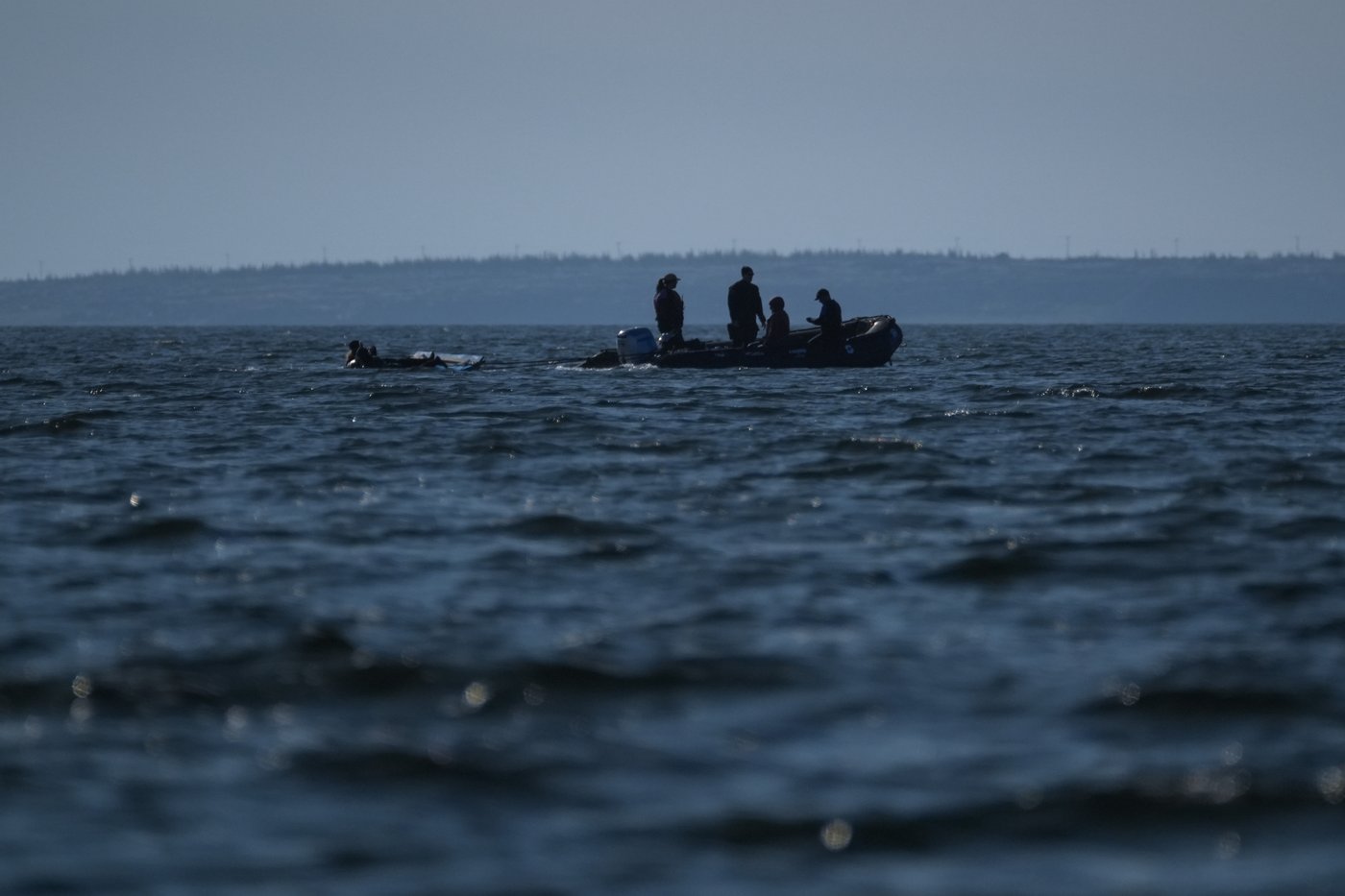 Offering a dose of healing, curious beluga whales frolic in a warming Hudson Bay | iNFOnews.ca Offering a dose of healing, curious beluga whales frolic in a warming Hudson Bay | iNFOnews.ca