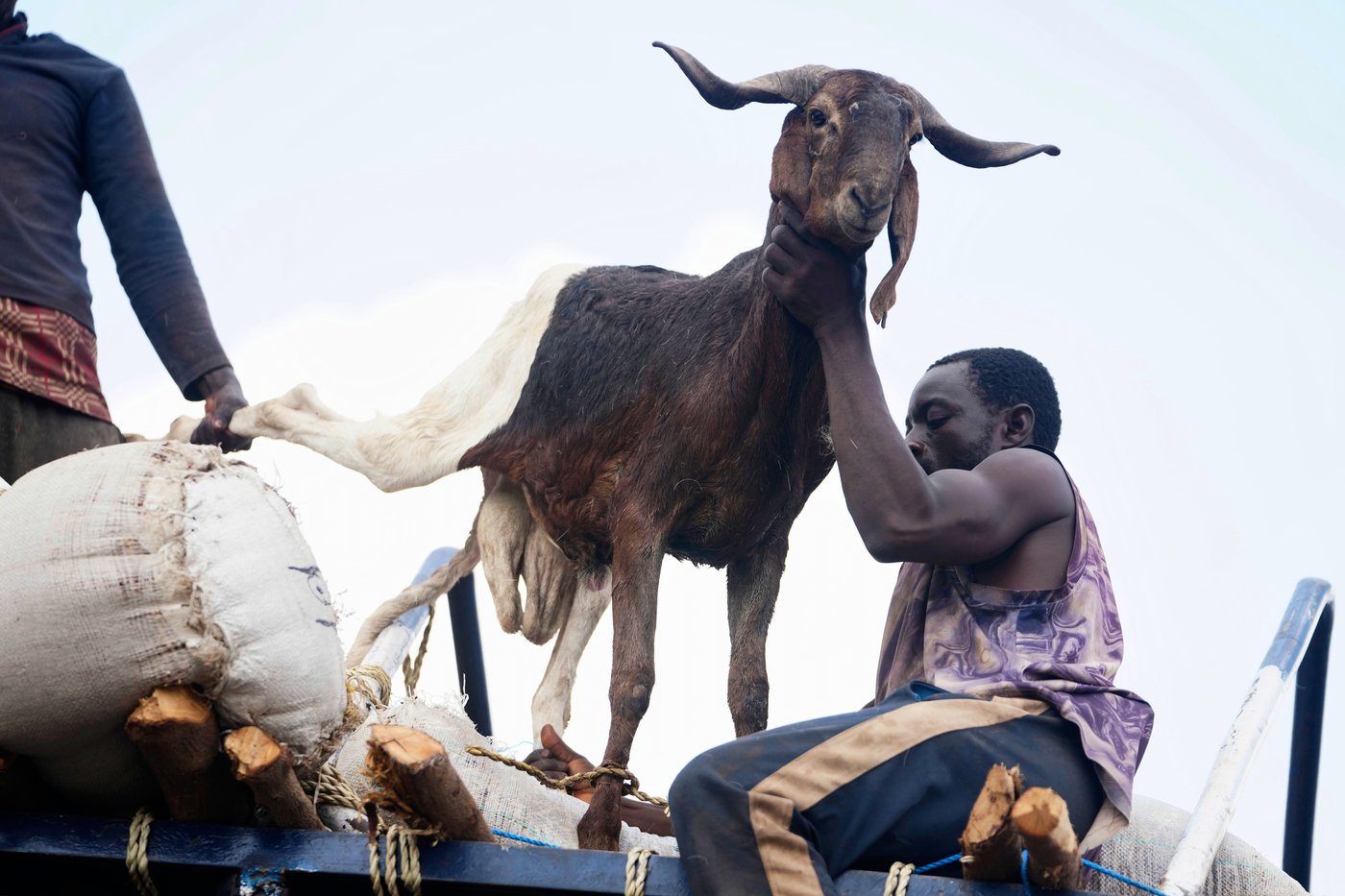 PHOTO COLLECTION: Eid al-Adha | iNFOnews.ca