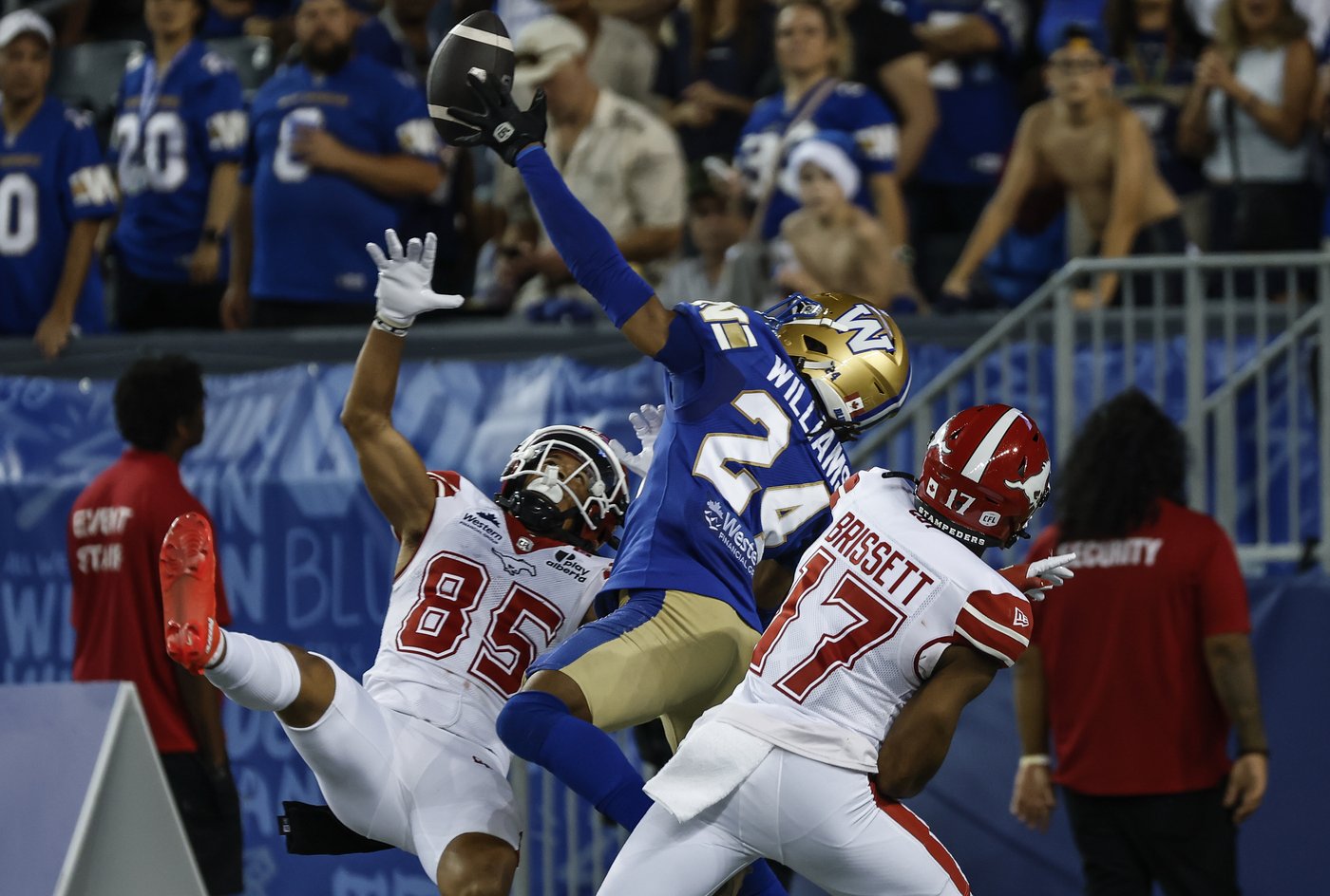 Collaros returns as Bombers face Stampeders in critical playoff clash | iNFOnews.ca Collaros returns as Bombers face Stampeders in critical playoff clash | iNFOnews.ca