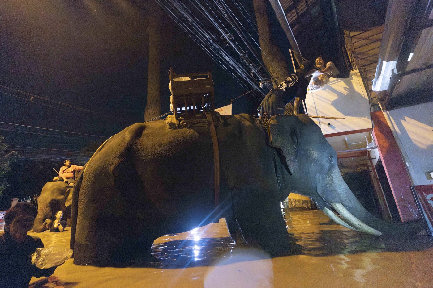 Central Thailand braces for inundation as rain stops in flooded Chiang Mai | iNFOnews.ca
