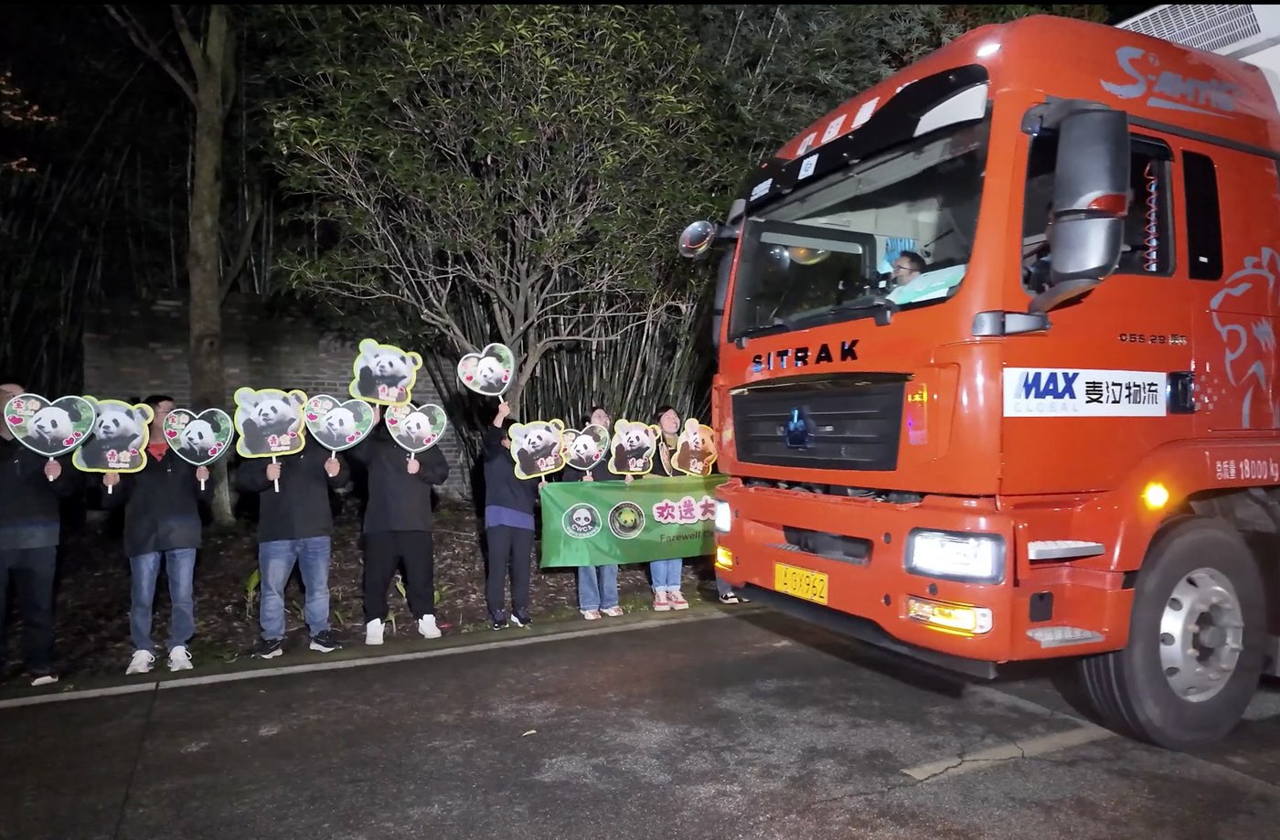 Pandas arrive at National Zoo, but won't be ready for public debut until January | iNFOnews.ca